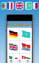 Flags Pixels Art – Flags Color By Numbers截图4