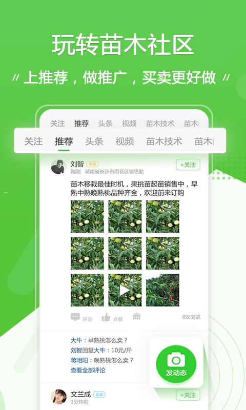 苗木通v4.1.9截图2