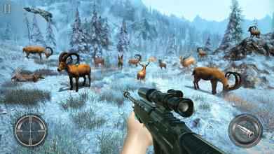 Wild Deer Hunter  deer shooting games截图5