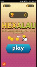 Blck Hxalau Puzzl截图2