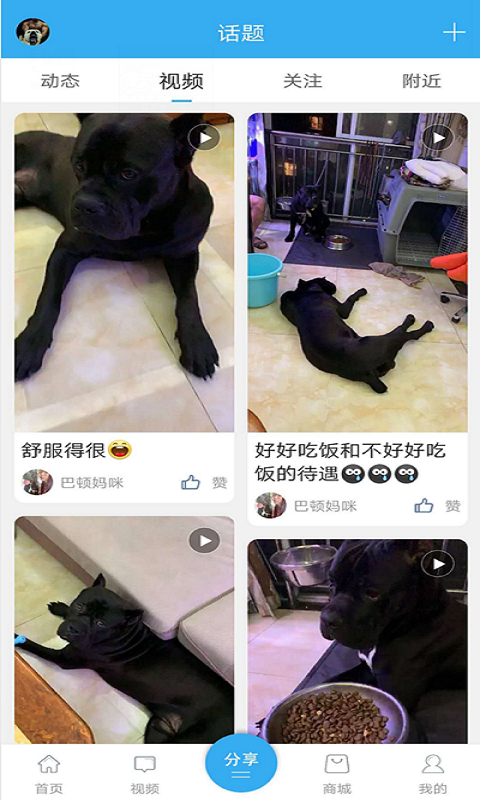 猛犬俱乐部v20236截图3