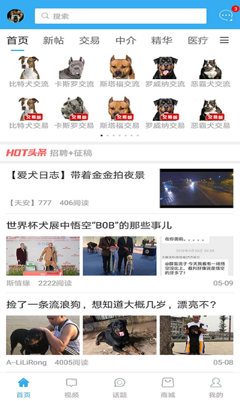 猛犬俱乐部v20236截图1