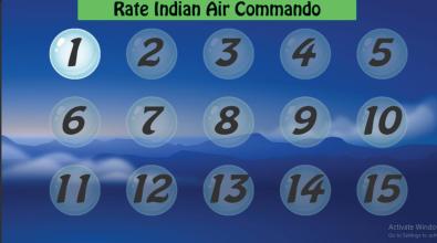 Commando: India air force截图1