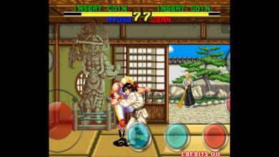 Martial Arts fighters截图1