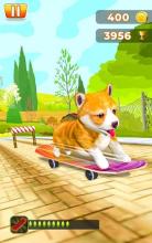 Pet Run Adventure截图1