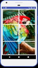 Tile Puzzles-Animals,Birds截图2