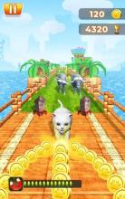 Pet Run Adventure截图2