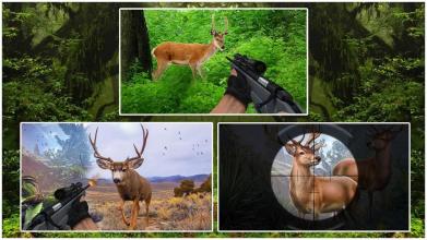 American Deer Hunter 2018:FPS Sniper Shooter截图1