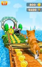 Pet Run Adventure截图3