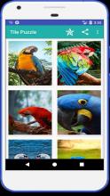 Tile Puzzles-Animals,Birds截图5