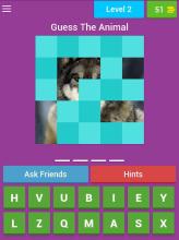 Animals Guessing截图3