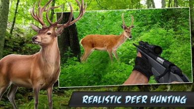 American Deer Hunter 2018:FPS Sniper Shooter截图3