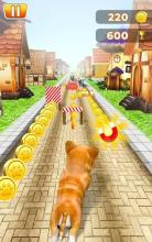 Pet Run Adventure截图5