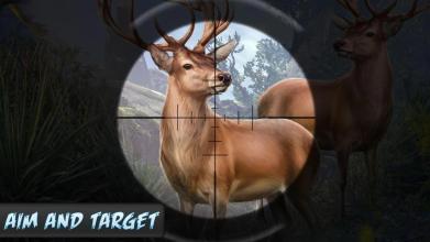 American Deer Hunter 2018:FPS Sniper Shooter截图5