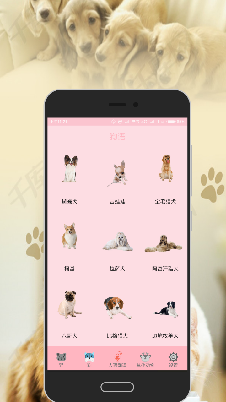 人猫交流器v2.0.2截图3