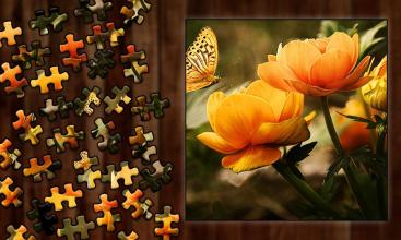 Photo Puzzle - Jigsaw puzzle the Game截图4