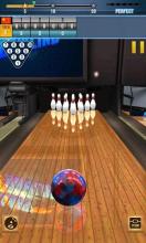 Real Bowling 3D World Champions Game截图4