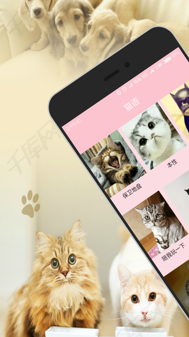 人猫交流器v2.0.2截图1