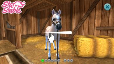 Star Stable Horses截图4