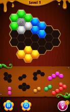 Block Puzzle 3D   Puzzle Game截图5