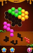 Block Puzzle 3D   Puzzle Game截图4