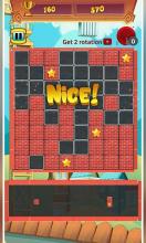 Block Puzzle Brick Breaker截图5