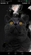 Magic Cat Tiles截图2