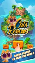 Cats Rescue截图5