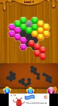 Hexagon Block Puzzle Fun截图3