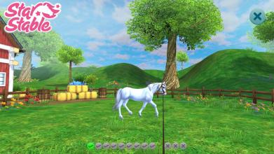 Star Stable Horses截图5