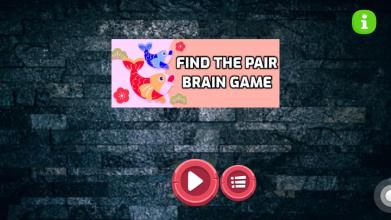 Find The Pair Brain Game截图5