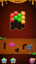 Hexa Puzzle - Block Puzzle Pro截图4