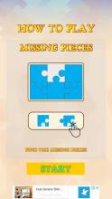 Missing Pieces Puzzle截图5