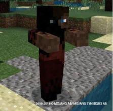 Zombies Dead for MCPE!截图3