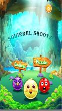 Bubble Shooter Squirrel Ball截图4