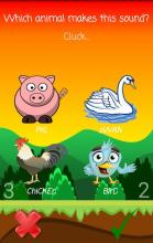 Penguito - Animal Sounds for Kids截图2