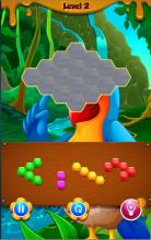 Parrot Hexagon Super Puzzle截图1