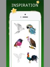 Birds color by number  Adult poly art coloring截图4