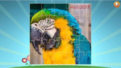 Bird & Animal Jigsaw Puzzle截图2