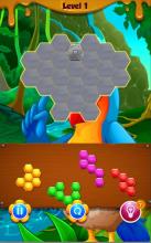 Parrot Hexagon Super Puzzle截图2