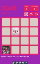 2048 Cute Cats截图3