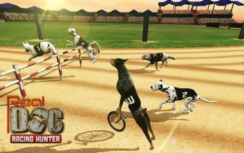 Real Dogs Racing Rabbit Hunter Greyhound Simulator截图4