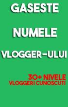 Gaseste Numele Vloggerului截图5