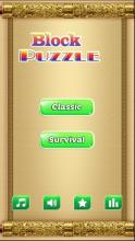 new Golden Block Puzzle Mania截图4