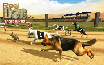 Real Dogs Racing Rabbit Hunter Greyhound Simulator截图5