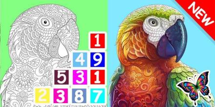 Coloring by numbers books for adults截图1