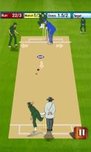 England Vs South Africa Cricket Game截图4