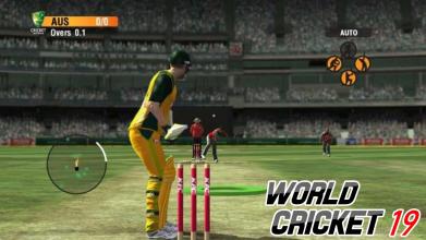 World cricket  World Championship 2019截图3