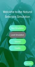 Natural Selection Simulation截图5