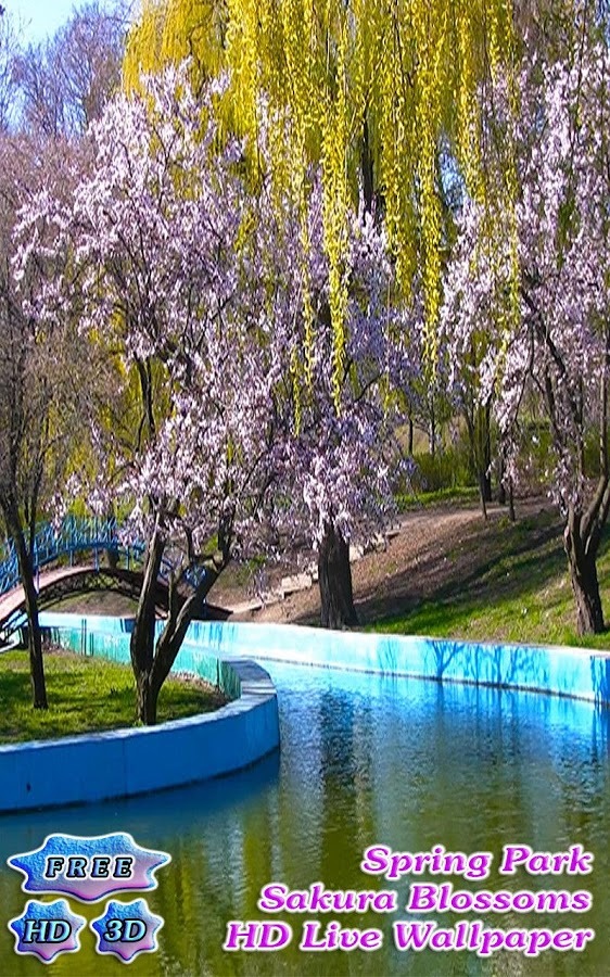 3D Spring Park Sakura Free截图11